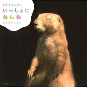 翌日発送・おやすみえほんいっしょにねんね/たちばなれんじ