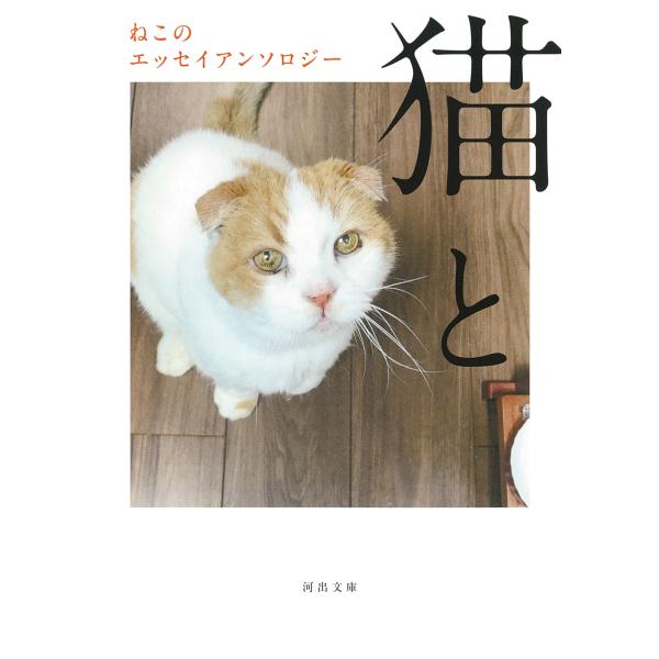 翌日発送・猫と/内田百□