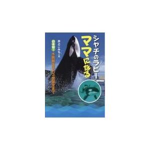 シャチのラビーママになる/井上こみち