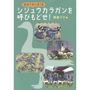 翌日発送・シジュウカラガンを呼びもどせ！ 野泉マヤの買取情報