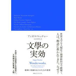 翌日発送・文學の実効/アンガス・フレッチャ｜honyaclubbook