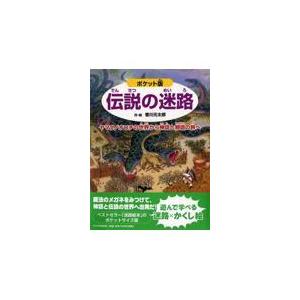 翌日発送・伝説の迷路 ポケット版/香川元太郎
