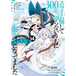 新品 / スライム倒して300年、知らないうちにレベルMAXになってました
