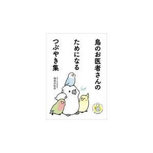 即納！洋書英語教育 ニューゴールデンディクショナリー/ The New