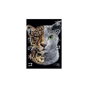 新品本 家のネコと野生のネコ 澤井聖一 本文 写真解説 近藤雄生 野生のネコ本文 N ドラマ書房yahoo 店 通販 Yahoo ショッピング