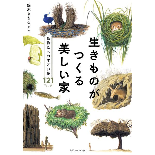 生きものがつくる美しい家/鈴木まもる