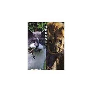 捕食動物写真集 本 雑誌 コミック の商品一覧 通販 Yahoo ショッピング
