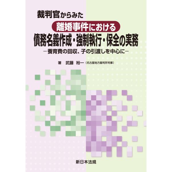 翌日発送・裁判官からみた離婚事件における債務名義作成・強制執行・保全の実務/武藤裕一