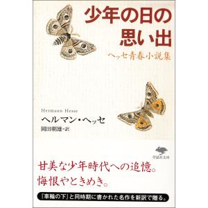 ヘルマンヘッセ 少年の日の思い出 海外文学 の商品一覧 文芸 本 雑誌 コミック 通販 Yahoo ショッピング