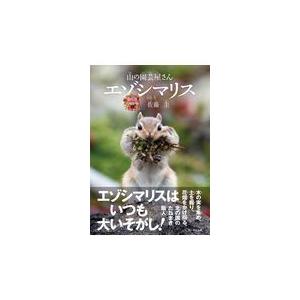 エゾシマリス/佐藤圭