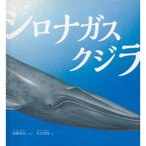 翌日発送・シロナガスクジラ/加藤秀弘