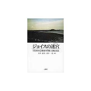 ジョイスの迷宮/金井嘉彦