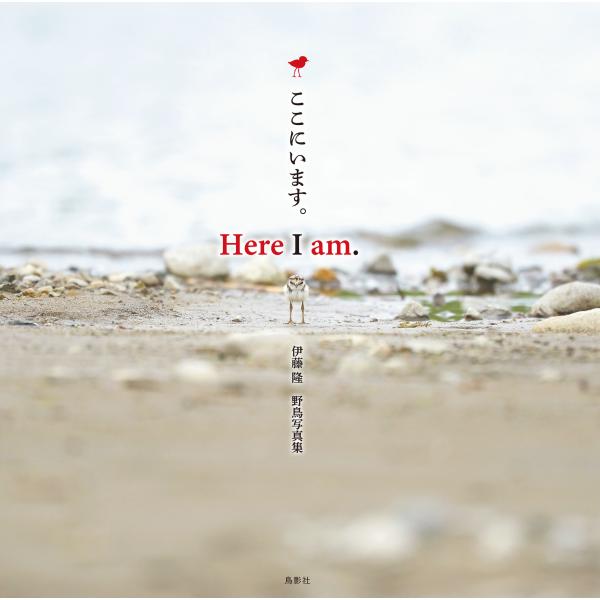 翌日発送・Ｈｅｒｅ　Ｉ　ａｍ．　ここにいます。/伊藤隆