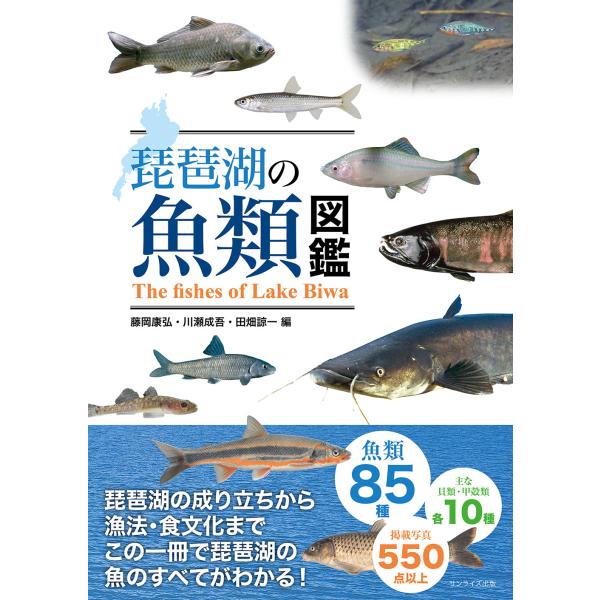 翌日発送・琵琶湖の魚類図鑑/藤岡康弘