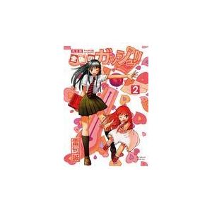 翌日発送・金色のガッシュ！！完全版 ２/雷句誠
