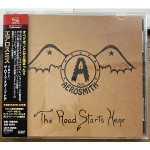 アート・リンゼイ／ヌーン・チル 【未開封新品CD】 サンプル盤