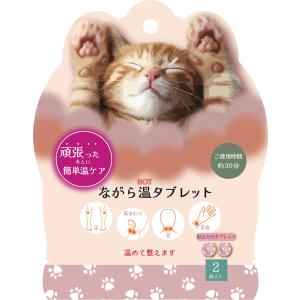 ながら温タブレット 温熱パッチ 耳たぶ カイロ 温熱ケア 2個入 個包装