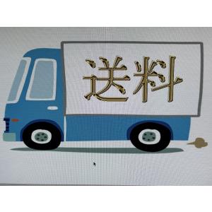送料(1100)