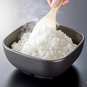 ハリオ HARIO ご飯釜のおひつ 2合用 電...の詳細画像2