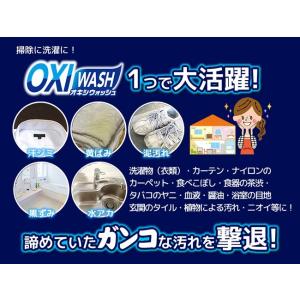 紀陽除虫菊株式会社 OXIWASH オキシウォ...の詳細画像2