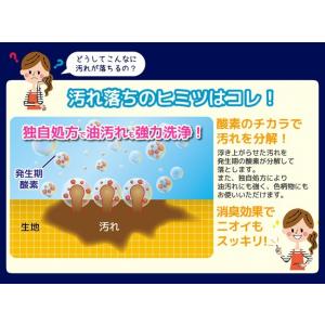 紀陽除虫菊株式会社 OXIWASH オキシウォ...の詳細画像3