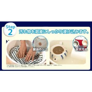 紀陽除虫菊株式会社 OXIWASH オキシウォ...の詳細画像5