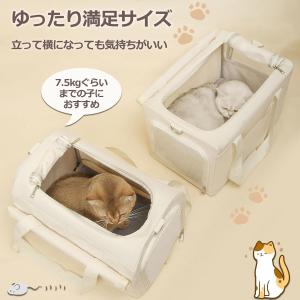 ペットキャリー 2匹 ペットカート 2匹 猫キ...の詳細画像5