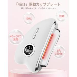 【2025人気電動カッサプレート】 美顔器 E...の詳細画像1