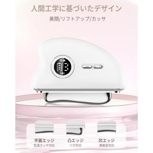 【2025人気電動カッサプレート】 美顔器 E...の詳細画像3