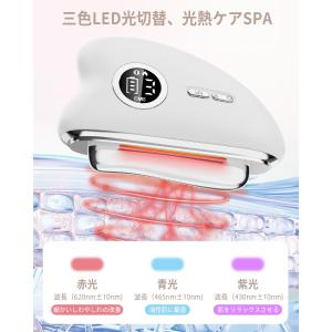 【2025人気電動カッサプレート】 美顔器 E...の詳細画像4