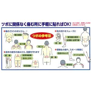全国 送料無料 神洲 ひ鍼(ひしん)90針 腰...の詳細画像3