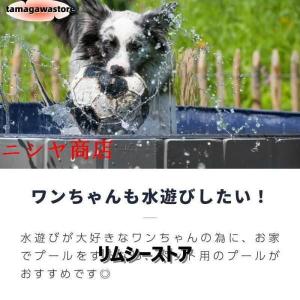 犬用 プール 折りたたみ 破れない 小型犬 中...の詳細画像1