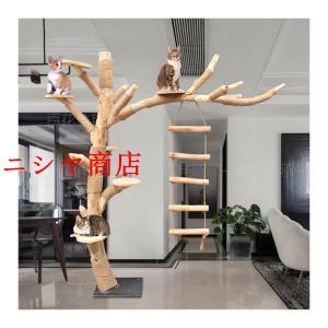 キャットタワー 木製 猫の木 猫登山 活動ツリ...の詳細画像1
