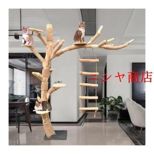 キャットタワー 木製 猫の木 猫登山 活動ツリ...の詳細画像2