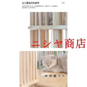 ペットケージ 猫ケージ 猫ハウス キャットハウ...の詳細画像5
