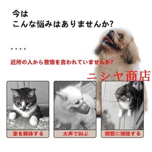 ペット用防音室 遮音強化ガラス 高耐久合金フレ...の詳細画像2