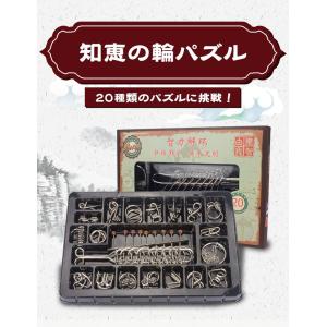 知恵の輪9点セット 初級/中級/上級/超上級向け 選べる難易度 メタル製