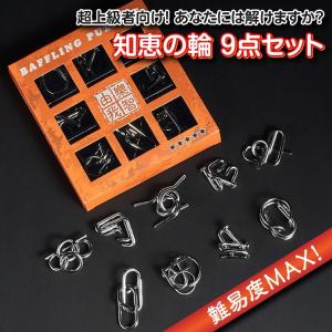 【大ボリューム！】知恵の輪 豪華65点程度 メタルパズル 知育玩具 脳トレ 超上級者向け 知恵の輪9点セット レベル5 難易度MAXに挑戦 メタル製 脳