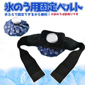 氷のう アイスバッグ 氷嚢 アイシング クール...の詳細画像2
