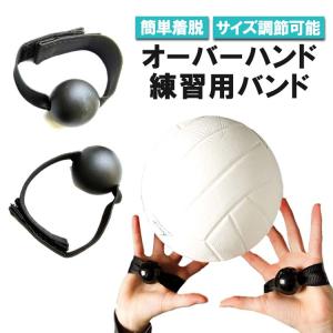 MIKASA（ミカサ） バレー トレーニングボール 4号球 吊るす 一人バレー