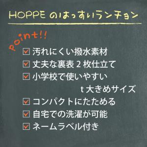 大判 撥水 ランチョンマット 40×60 日本...の詳細画像4