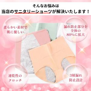 サニタリー ショーツ 3枚 吸水 レディース ...の詳細画像3