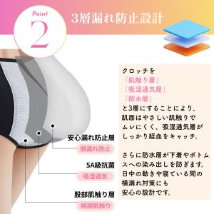 サニタリー ショーツ 3枚 吸水 レディース ...の詳細画像5