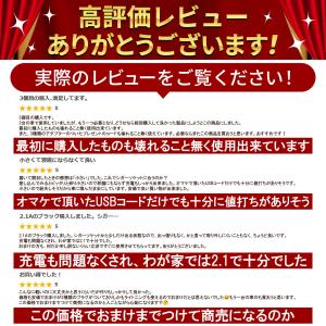 シガーソケット 2連 USB 増設 電源 車載...の詳細画像2