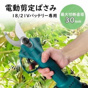 剪定ばさみ 電動 ケース付き 園芸用 コードレス 充電式 剪定 剪定ばさみ 電動 ケース付き 園芸用 コードレス 充電式 剪定