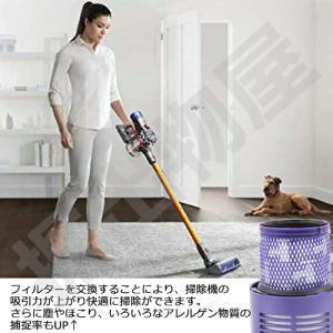 2個セット iieco ダイソン V10 SV...の詳細画像5