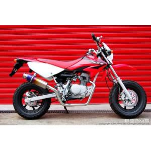 BEAMS（ビームス） マフラー 送料無料 マフラー ズーマー/ZOOMER SS300