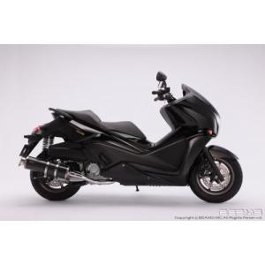 BEAMS（ビームス） マフラー 送料無料 マフラー APE50/エイプ50 SS300