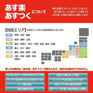 セール特価 DURO デューロ チューブレスタ...の詳細画像4