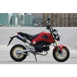 SP武川（タケガワ）コーンオーバルマフラー スリップオンタイプ GROM
